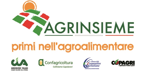 AGRINSIEME, DOMANI PRESENTAZIONE PROGRAMMA 2018-2019 E PASSAGGIO DEL COORDINAMENTO IL COORDINAMENTO RAPPRESENTA IL 60% DELLA PRODUZIONE AGRICOLA NAZIONALE E OLTRE 800MILA PERSONE OCCUPATE NEL SETTORE